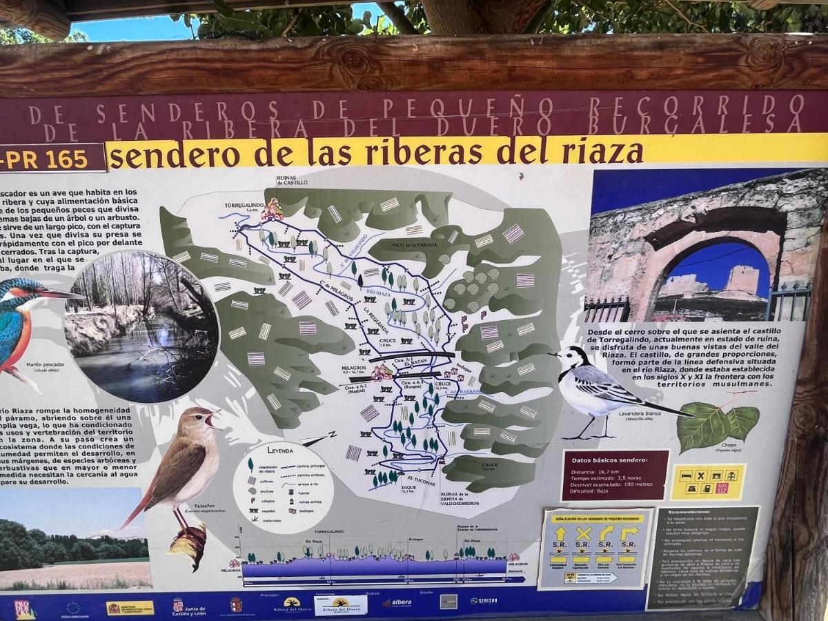 Casa Marite Vivienda De Uso Turistico Villa Campillo de Aranda Dış mekan fotoğraf